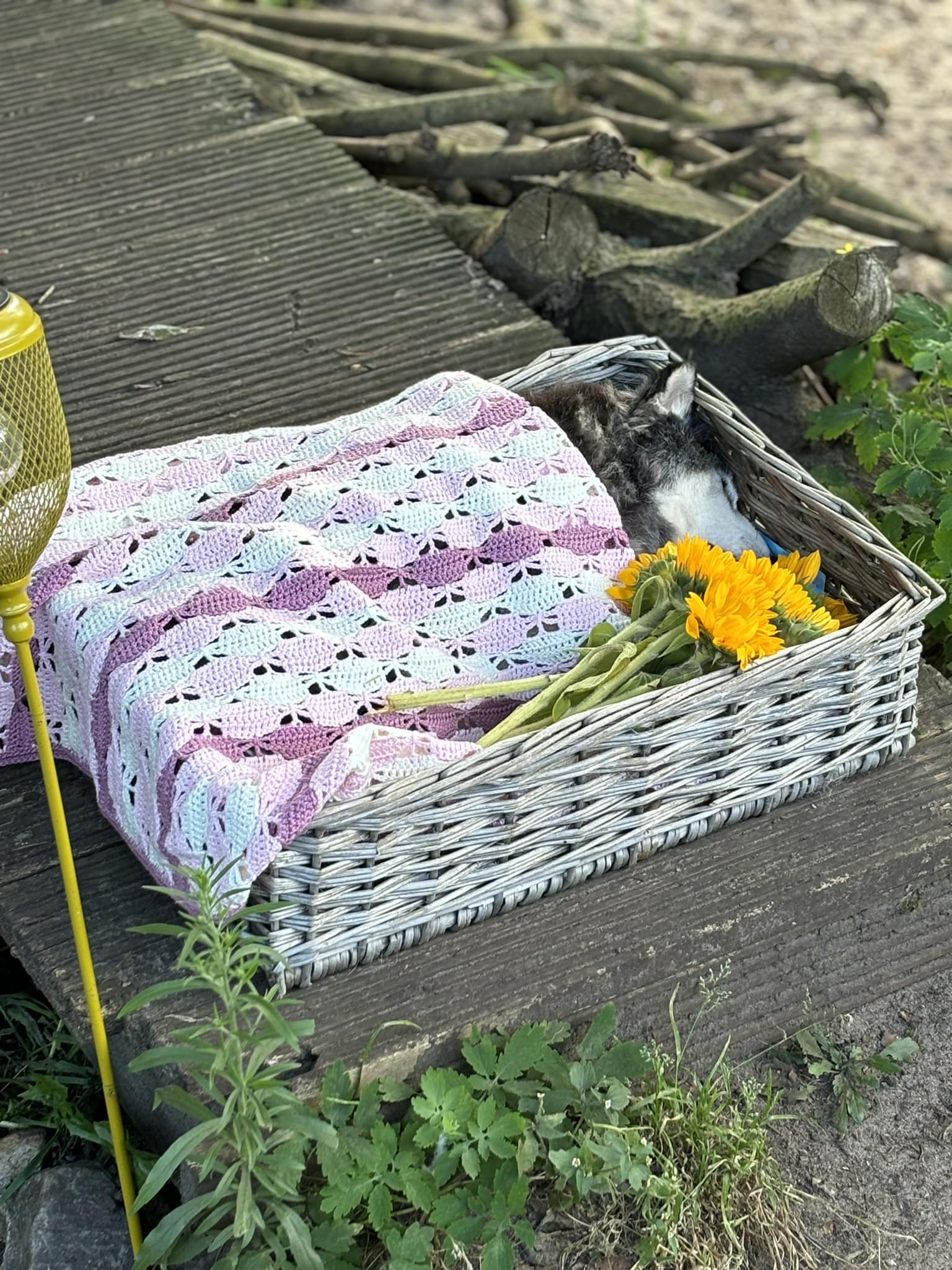 De dag dat wij afscheid hebben genomen van Aloha