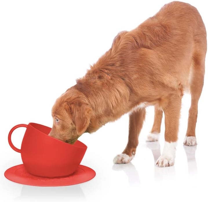 United Pets Kommenset Beker en Onderbord Rood