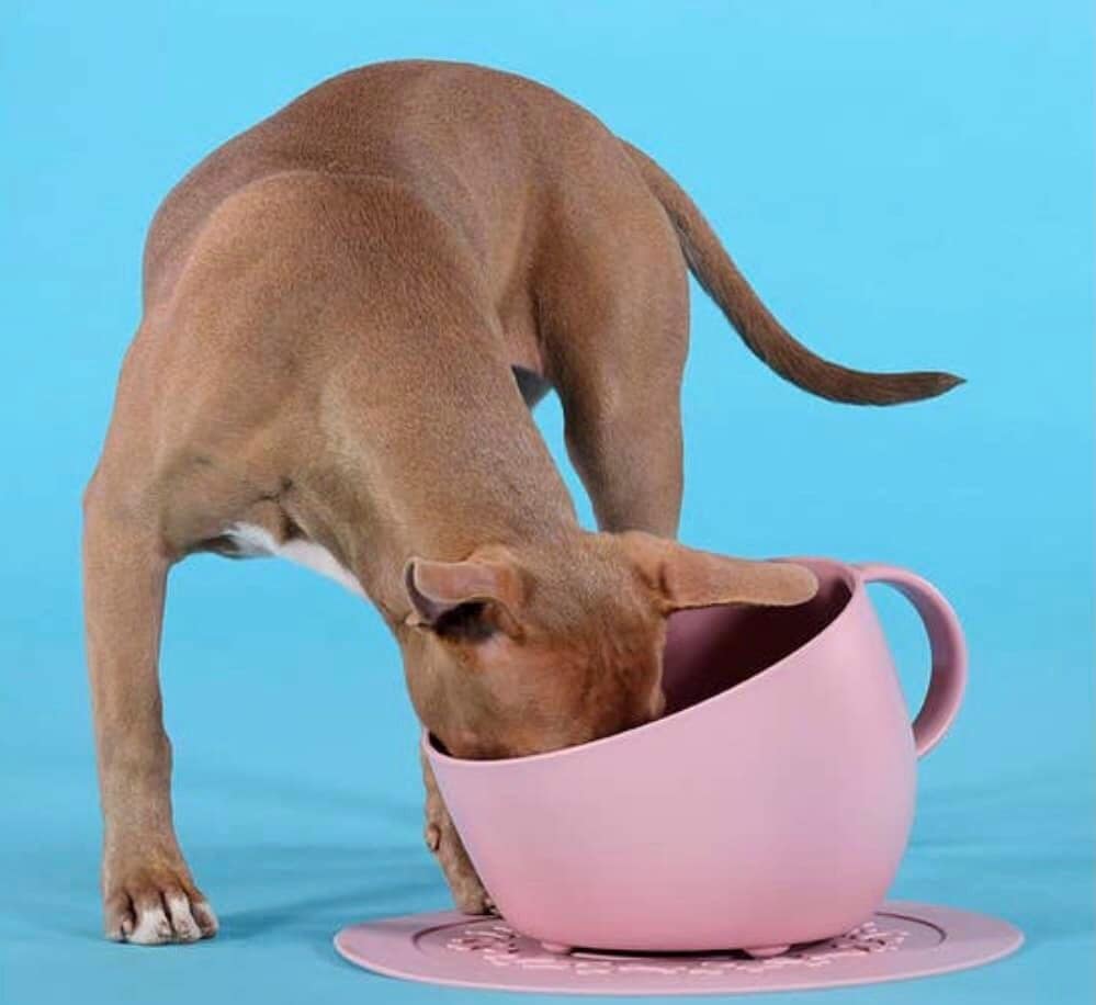 United Pets Kommenset Beker en Onderbord Roze