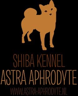 Shiba Kennel Astra Aphrodyte